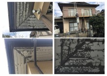 埼玉県川越市屋根外壁点検