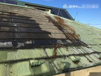埼玉県川越市ソーラー撤去