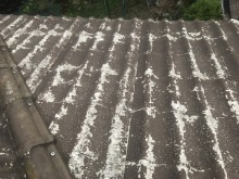 埼玉県川越市かわらU屋根撤去前