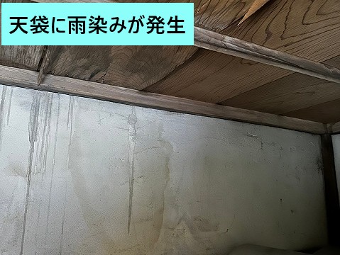 天袋に広がる雨染み