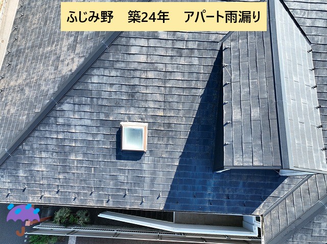 アパート屋根全景