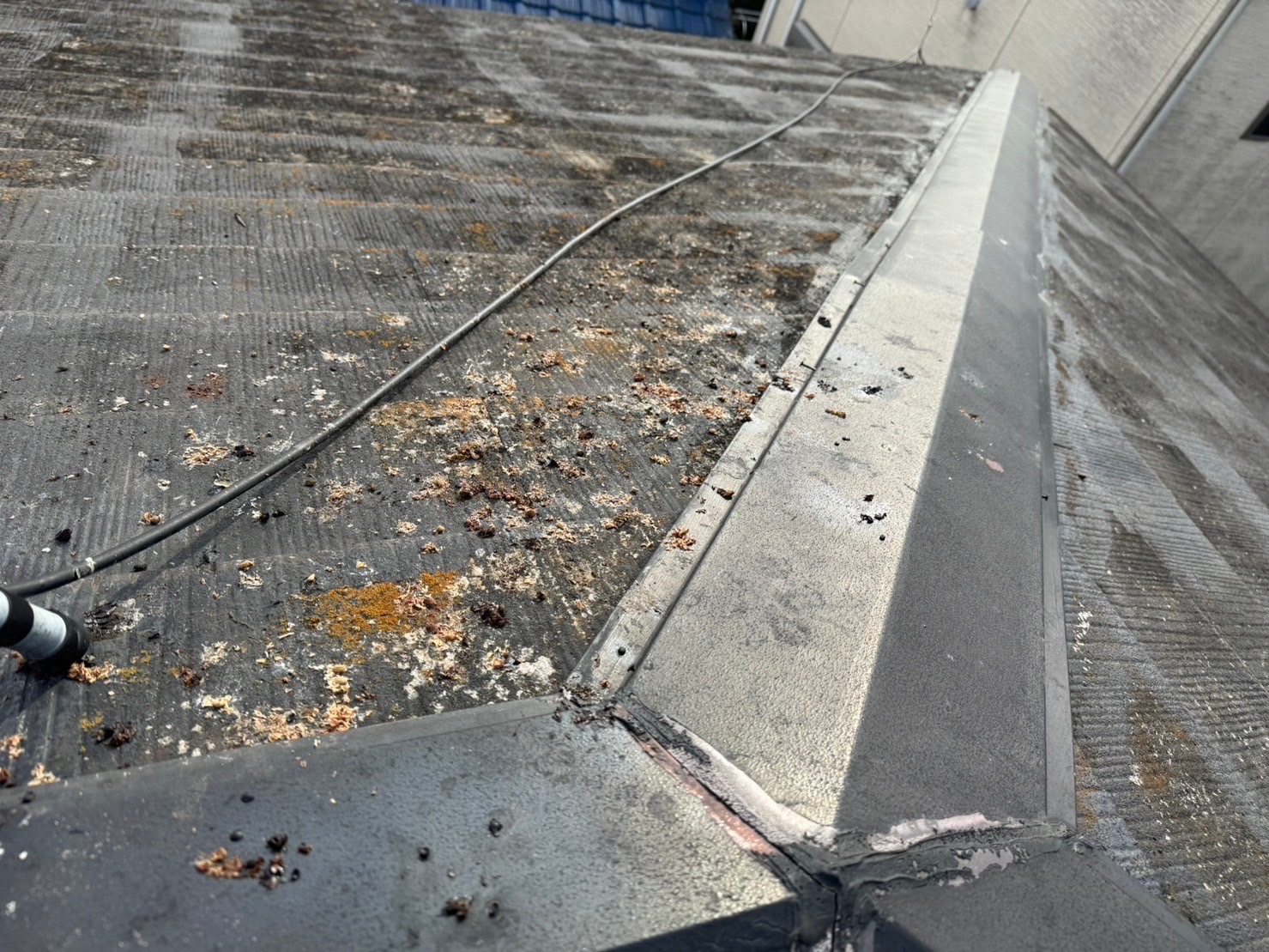 屋根の汚れ