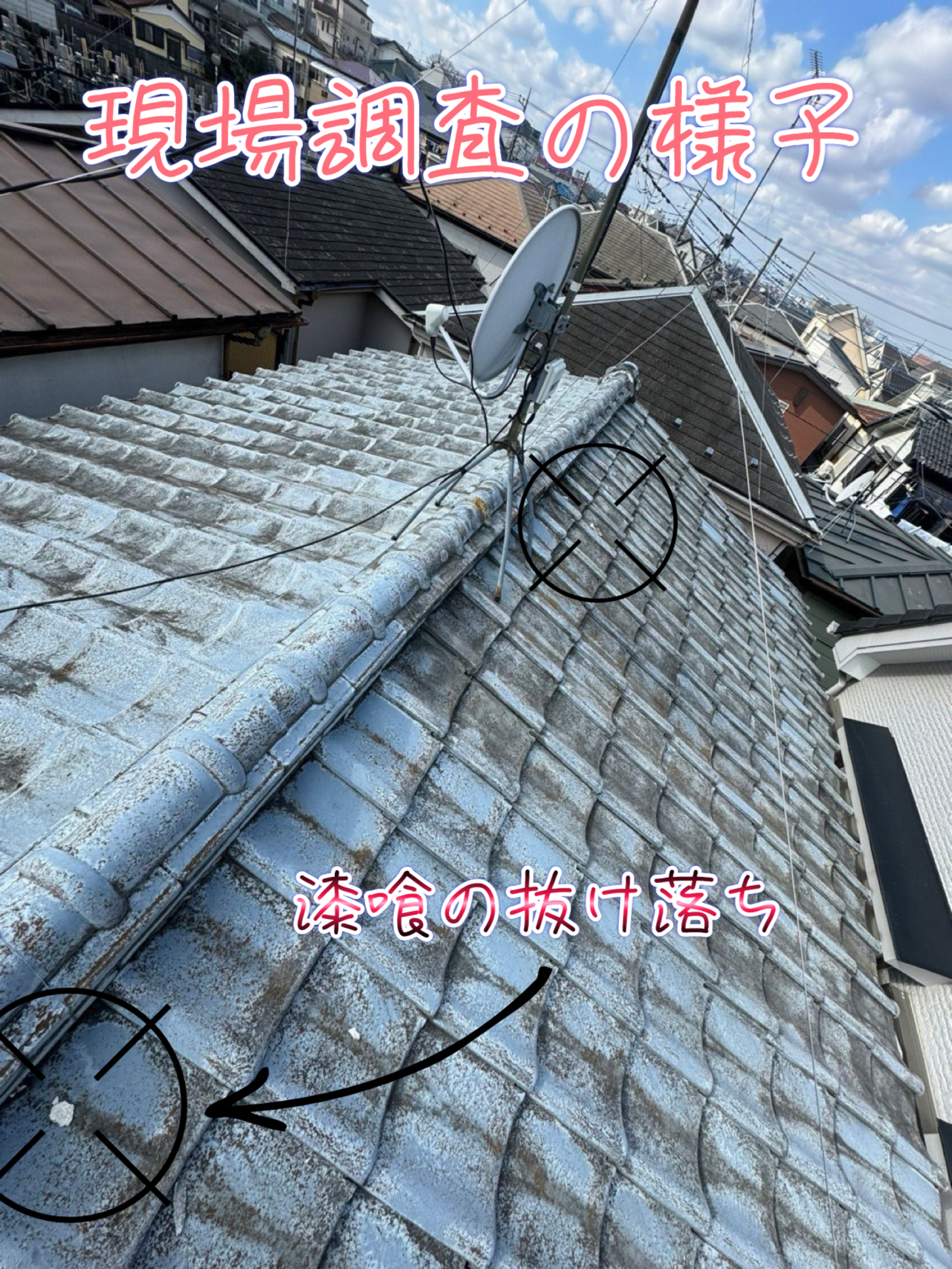 屋根の様子