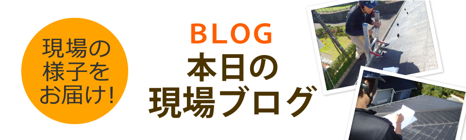 川越市、狭山市、所沢市エリア、その他地域のブログ