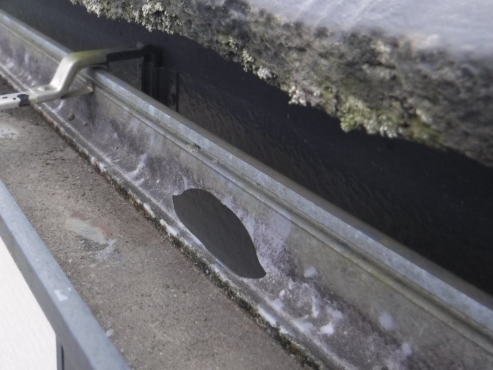 雹被害による穴あきが確認できる状態