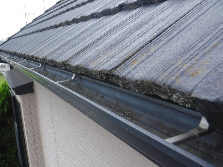 軒先の雨樋内部に堆積物が見られる状態