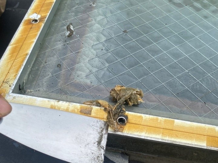 古い防水テープを剥がして下地を整える