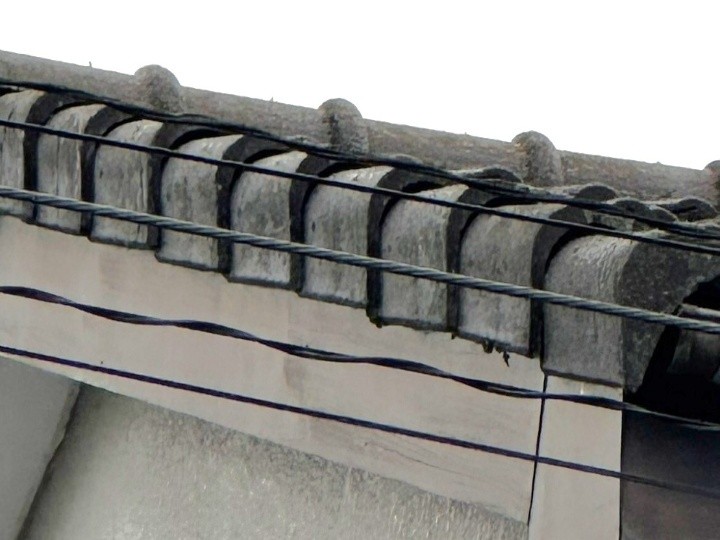 軒先付近に見られる黒ずみ（カビ・汚れの付着）