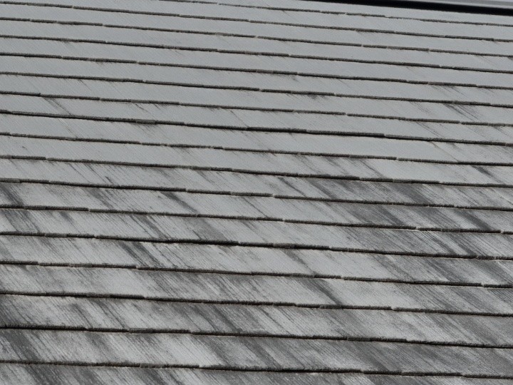 退色とカビの進行