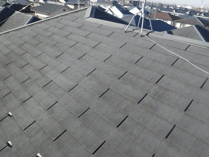 屋根全体の状態確認