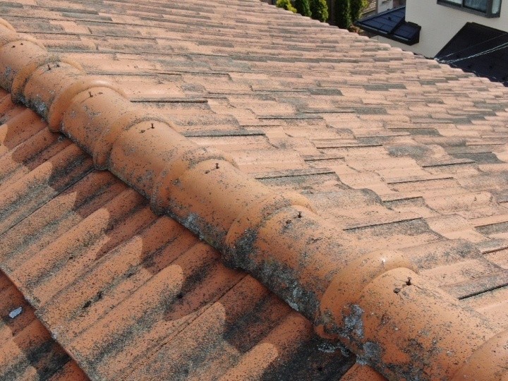 棟瓦まわりに汚れの付着が見られ、経年の影響を確認