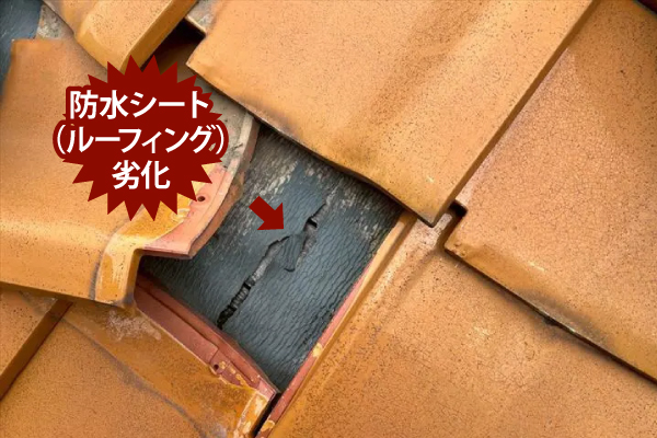 防水シート（ルーフィング）劣化