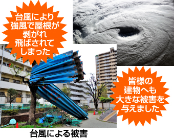 台風による被害